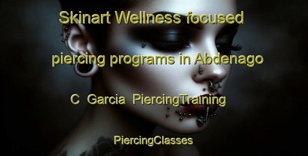 Skinart Wellness-focused piercing programs in Abdenago C  Garcia | #PiercingTraining #PiercingClasses #SkinartTraining-Mexico