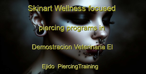 Skinart Wellness-focused piercing programs in Demostracion Veterinaria El Ejido | #PiercingTraining #PiercingClasses #SkinartTraining-Mexico