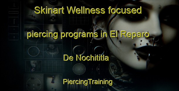 Skinart Wellness-focused piercing programs in El Reparo De Nochititla | #PiercingTraining #PiercingClasses #SkinartTraining-Mexico