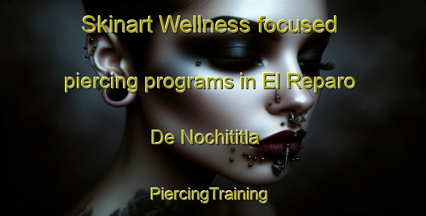 Skinart Wellness-focused piercing programs in El Reparo De Nochititla | #PiercingTraining #PiercingClasses #SkinartTraining-Mexico