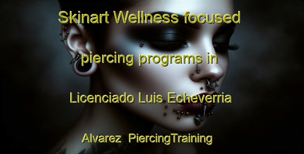 Skinart Wellness-focused piercing programs in Licenciado Luis Echeverria Alvarez | #PiercingTraining #PiercingClasses #SkinartTraining-Mexico