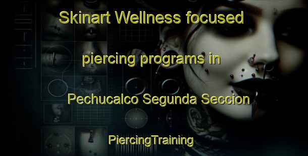 Skinart Wellness-focused piercing programs in Pechucalco Segunda Seccion | #PiercingTraining #PiercingClasses #SkinartTraining-Mexico