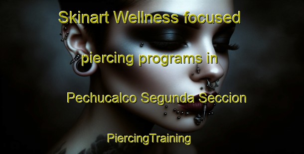 Skinart Wellness-focused piercing programs in Pechucalco Segunda Seccion | #PiercingTraining #PiercingClasses #SkinartTraining-Mexico