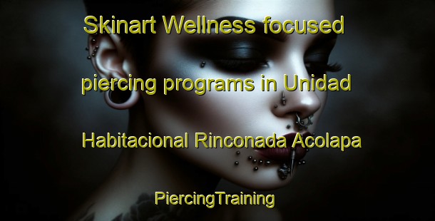 Skinart Wellness-focused piercing programs in Unidad Habitacional Rinconada Acolapa | #PiercingTraining #PiercingClasses #SkinartTraining-Mexico