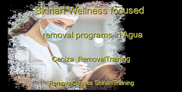 Skinart Wellness-focused removal programs in Agua Ceniza | #RemovalTraining #RemovalClasses #SkinartTraining-Mexico