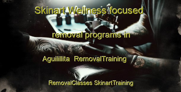 Skinart Wellness-focused removal programs in Aguilillita | #RemovalTraining #RemovalClasses #SkinartTraining-Mexico