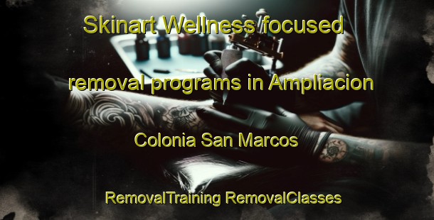 Skinart Wellness-focused removal programs in Ampliacion Colonia San Marcos | #RemovalTraining #RemovalClasses #SkinartTraining-Mexico