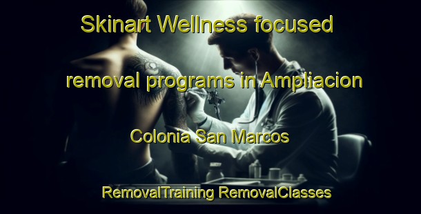 Skinart Wellness-focused removal programs in Ampliacion Colonia San Marcos | #RemovalTraining #RemovalClasses #SkinartTraining-Mexico