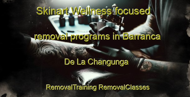 Skinart Wellness-focused removal programs in Barranca De La Changunga | #RemovalTraining #RemovalClasses #SkinartTraining-Mexico