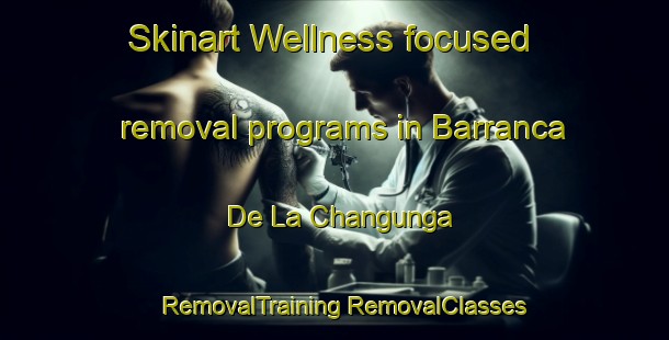 Skinart Wellness-focused removal programs in Barranca De La Changunga | #RemovalTraining #RemovalClasses #SkinartTraining-Mexico