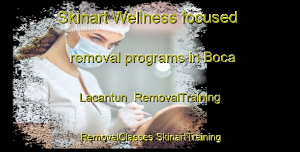 Skinart Wellness-focused removal programs in Boca Lacantun | #RemovalTraining #RemovalClasses #SkinartTraining-Mexico