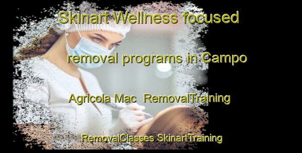 Skinart Wellness-focused removal programs in Campo Agricola Mac | #RemovalTraining #RemovalClasses #SkinartTraining-Mexico