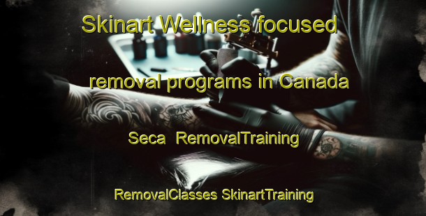 Skinart Wellness-focused removal programs in Canada Seca | #RemovalTraining #RemovalClasses #SkinartTraining-Mexico