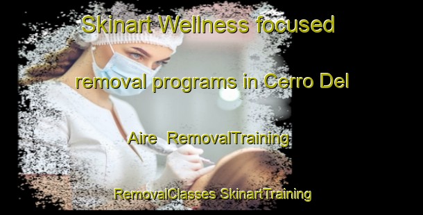 Skinart Wellness-focused removal programs in Cerro Del Aire | #RemovalTraining #RemovalClasses #SkinartTraining-Mexico