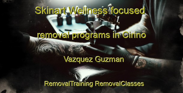 Skinart Wellness-focused removal programs in Cirino Vazquez Guzman | #RemovalTraining #RemovalClasses #SkinartTraining-Mexico