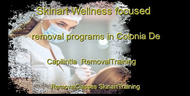 Skinart Wellness-focused removal programs in Colonia De Capilintla | #RemovalTraining #RemovalClasses #SkinartTraining-Mexico