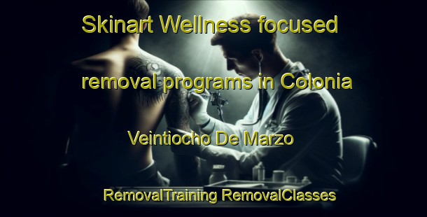 Skinart Wellness-focused removal programs in Colonia Veintiocho De Marzo | #RemovalTraining #RemovalClasses #SkinartTraining-Mexico