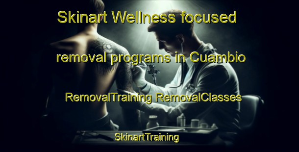 Skinart Wellness-focused removal programs in Cuambio | #RemovalTraining #RemovalClasses #SkinartTraining-Mexico