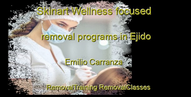 Skinart Wellness-focused removal programs in Ejido Emilio Carranza | #RemovalTraining #RemovalClasses #SkinartTraining-Mexico