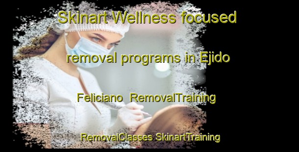 Skinart Wellness-focused removal programs in Ejido Feliciano | #RemovalTraining #RemovalClasses #SkinartTraining-Mexico