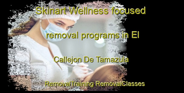 Skinart Wellness-focused removal programs in El Callejon De Tamazula | #RemovalTraining #RemovalClasses #SkinartTraining-Mexico