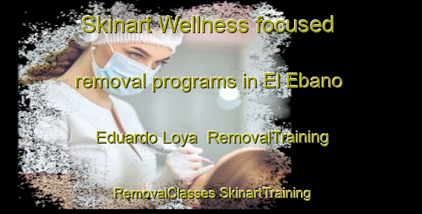 Skinart Wellness-focused removal programs in El Ebano  Eduardo Loya | #RemovalTraining #RemovalClasses #SkinartTraining-Mexico