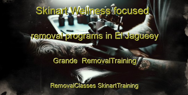 Skinart Wellness-focused removal programs in El Jagueey Grande | #RemovalTraining #RemovalClasses #SkinartTraining-Mexico