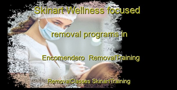 Skinart Wellness-focused removal programs in Encomendero | #RemovalTraining #RemovalClasses #SkinartTraining-Mexico