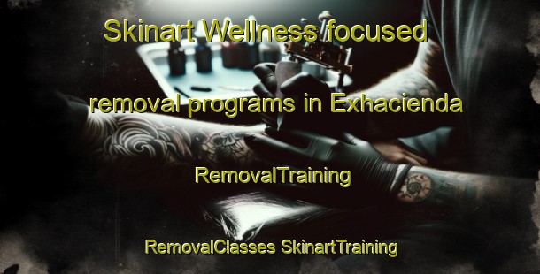 Skinart Wellness-focused removal programs in Exhacienda | #RemovalTraining #RemovalClasses #SkinartTraining-Mexico