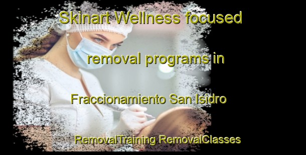 Skinart Wellness-focused removal programs in Fraccionamiento San Isidro | #RemovalTraining #RemovalClasses #SkinartTraining-Mexico