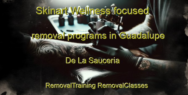 Skinart Wellness-focused removal programs in Guadalupe De La Sauceria | #RemovalTraining #RemovalClasses #SkinartTraining-Mexico