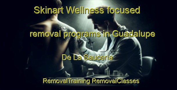 Skinart Wellness-focused removal programs in Guadalupe De La Sauceria | #RemovalTraining #RemovalClasses #SkinartTraining-Mexico