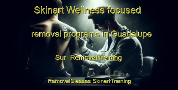 Skinart Wellness-focused removal programs in Guadalupe Sur | #RemovalTraining #RemovalClasses #SkinartTraining-Mexico