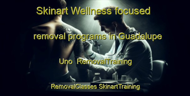 Skinart Wellness-focused removal programs in Guadalupe Uno | #RemovalTraining #RemovalClasses #SkinartTraining-Mexico