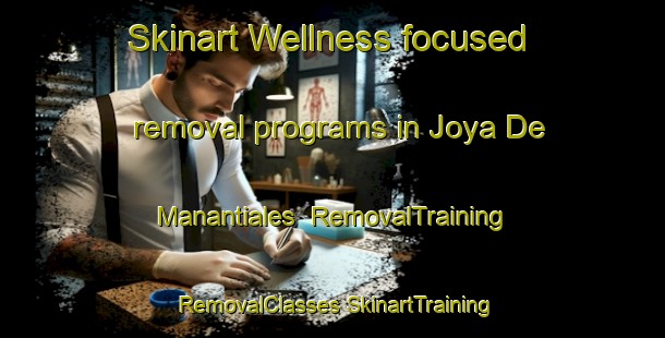 Skinart Wellness-focused removal programs in Joya De Manantiales | #RemovalTraining #RemovalClasses #SkinartTraining-Mexico