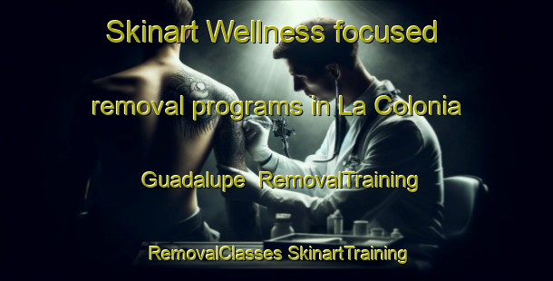 Skinart Wellness-focused removal programs in La Colonia Guadalupe | #RemovalTraining #RemovalClasses #SkinartTraining-Mexico