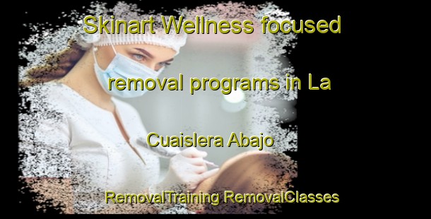 Skinart Wellness-focused removal programs in La Cuaislera Abajo | #RemovalTraining #RemovalClasses #SkinartTraining-Mexico