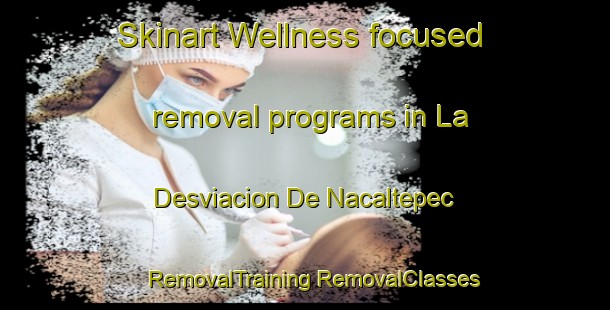 Skinart Wellness-focused removal programs in La Desviacion De Nacaltepec | #RemovalTraining #RemovalClasses #SkinartTraining-Mexico