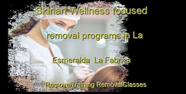 Skinart Wellness-focused removal programs in La Esmeralda  La Fabrica | #RemovalTraining #RemovalClasses #SkinartTraining-Mexico