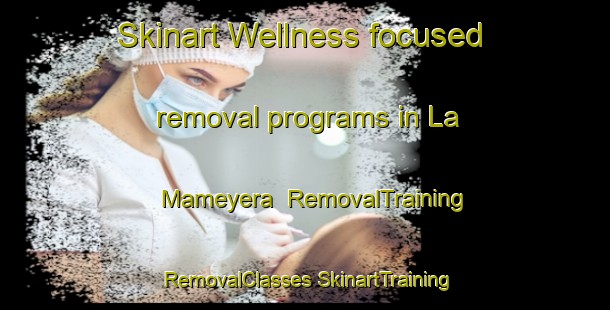 Skinart Wellness-focused removal programs in La Mameyera | #RemovalTraining #RemovalClasses #SkinartTraining-Mexico