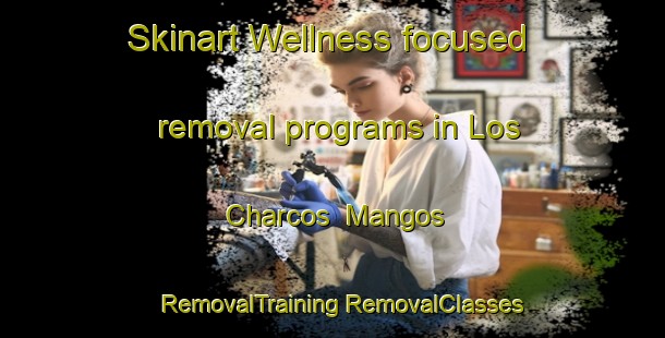 Skinart Wellness-focused removal programs in Los Charcos  Mangos | #RemovalTraining #RemovalClasses #SkinartTraining-Mexico