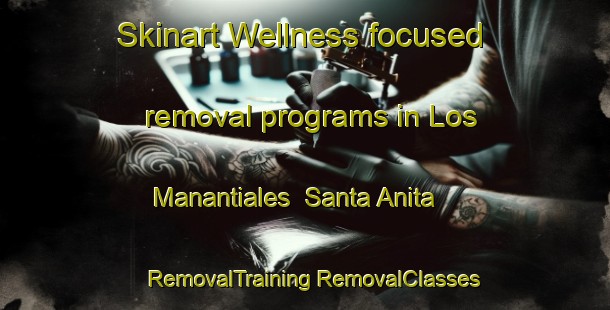 Skinart Wellness-focused removal programs in Los Manantiales  Santa Anita | #RemovalTraining #RemovalClasses #SkinartTraining-Mexico