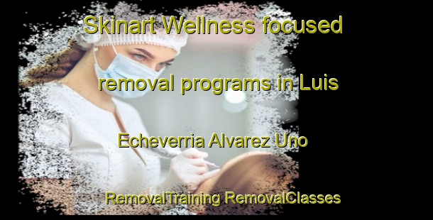 Skinart Wellness-focused removal programs in Luis Echeverria Alvarez Uno | #RemovalTraining #RemovalClasses #SkinartTraining-Mexico