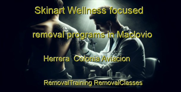 Skinart Wellness-focused removal programs in Maclovio Herrera  Colonia Aviacion | #RemovalTraining #RemovalClasses #SkinartTraining-Mexico