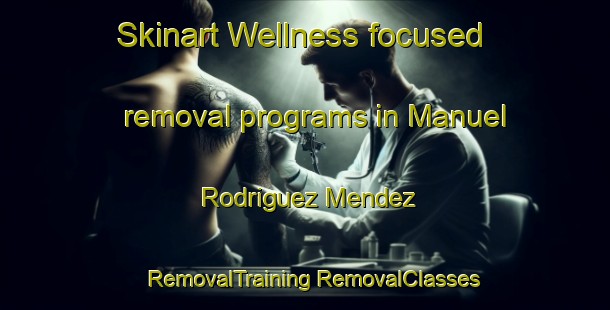 Skinart Wellness-focused removal programs in Manuel Rodriguez Mendez | #RemovalTraining #RemovalClasses #SkinartTraining-Mexico