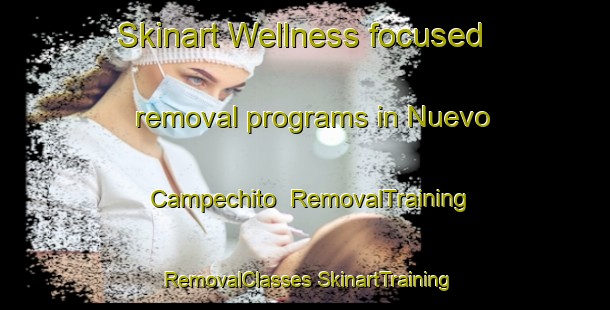 Skinart Wellness-focused removal programs in Nuevo Campechito | #RemovalTraining #RemovalClasses #SkinartTraining-Mexico