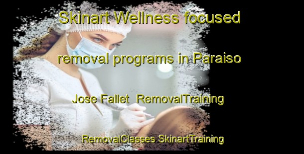 Skinart Wellness-focused removal programs in Paraiso  Jose Fallet | #RemovalTraining #RemovalClasses #SkinartTraining-Mexico