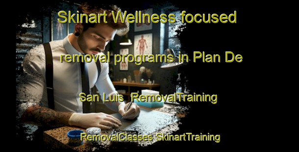 Skinart Wellness-focused removal programs in Plan De San Luis | #RemovalTraining #RemovalClasses #SkinartTraining-Mexico