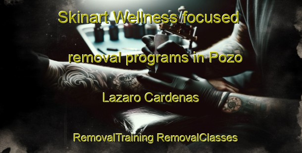 Skinart Wellness-focused removal programs in Pozo Lazaro Cardenas | #RemovalTraining #RemovalClasses #SkinartTraining-Mexico