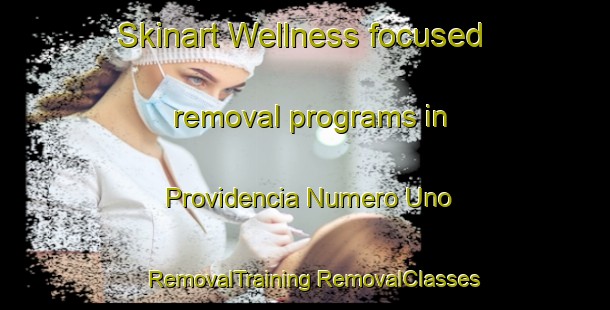 Skinart Wellness-focused removal programs in Providencia Numero Uno | #RemovalTraining #RemovalClasses #SkinartTraining-Mexico